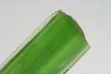 Actinolite Tremolitre crystal Burma