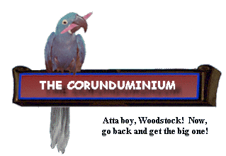 www.corunduminium.com