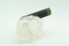 Tricolor Tourmaline Crystal on Quartz