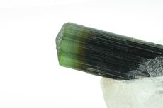 Tricolor Tourmaline Crystal on Quartz