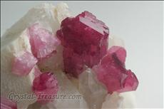 ルベライト (Rubellite) with 石英 (Quartz) & 長石（グループ） (Feldspar)