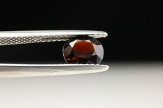 TOP Seltener geschliffener PAINIT 1 kts.