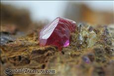 Seltene Rubin- Kristalle auf Painit