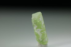 7 Peridot Crystals 