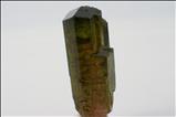 Tricolor  リディコータイト (Liddicoatite) 結晶 (Crystal) Vietnam