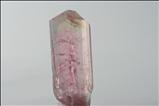 Fine Gemmy Pink/ Colorless  リディコータイト (Liddicoatite) 結晶 (Crystal) Vietnam