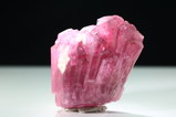 Rare Liddicoatite Crystal Vietnam