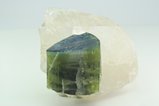 Unusual  Green Tourmaline with blue Cap