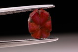 Trapiche Ruby Slice 1,8 cts.