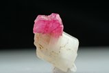 Rubin Kristall auf Kalzit