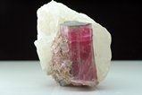 Rubellite Crystal on Quartz
