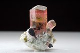 Top Fine Multi-colored Tourmaline in Matrix