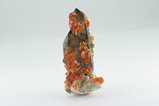 Garnet Crystals on Smokey Quartz