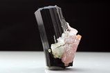 Schorl Crystal  with Apatite & Spessartine 