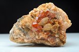 Hessonite Crystal w. Diopside in Matrix