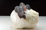 5 Tantalite Crystals in Matrix