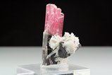Fine bented bicolor Tourmaline Crystal 