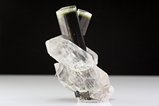 Fine  Tourmaline Twin on Quartz Stak Nala