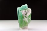 Cristal de Turmalina (Afghanistan) en Matrix