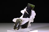 Beautiful Tourmaline with Cleavelandite Stak Nala