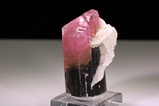 Schöner pink/schwarzer Turmalin Kristall 