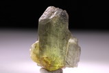 Peridot (Olivin) Kristall mit Ludwigit Einschlüsse