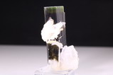 Tourmaline crystal with Cleavelandite Stag Nala