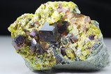 Andradite & Epidote & Diopside in Matrix
 

