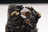 Rare Microlite Crystals in Matrix Zagi Mountains