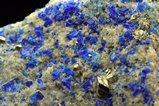 Sodalite Crystal in Matrix Afghanistan