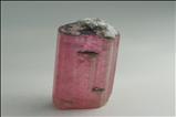 Pink 電気石 (Tourmaline) 結晶 (Crystal)