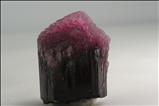 ルベライト (Rubellite) / ショール (鉄電気石) (Schorl) 結晶 (Crystal)