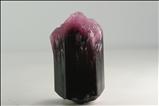 TOP Fibrous Rubellite / Schorl Crystal