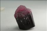 ルベライト (Rubellite) / ショール (鉄電気石) (Schorl) 結晶 (Crystal)