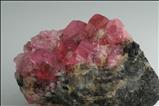 ルベライト (Rubellite) on ショール (鉄電気石) (Schorl) & 石英 (Quartz)