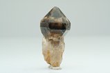 Scepter Smokey Quartz Crystal 