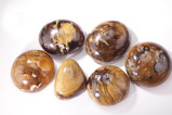 7  Root Amber Cabochons