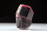 Bent bicolored Tourmaline Crystal