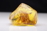 Polished Burmese amber (Burmite)