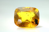 Facetted  Amber (Burmite)