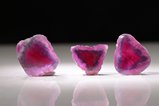 3pcs. of pink-red Mushroom Tourmaline Slices