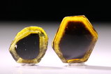 Two polished black / yellow Tourmaline Slices