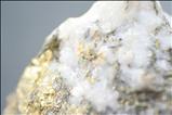 Quartz / Pyrite / Gold