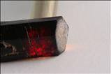 Unusual deep red-brown ショール (鉄電気石) (Schorl) 結晶 (Crystal)
