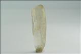 Rare Fine Transparent Tremolite Crystal