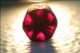 Rare Trapiche Ruby Crystal