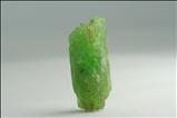 透輝石 (Diopside) with small フッ素燐灰石 (Fluorapatite) 結晶 (Crystal)