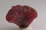 Trigonal Mushroom Tourmaline