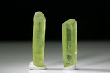 Two  gemmy Peridot Crystal Burma