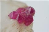 Ruby Twin on Calcite